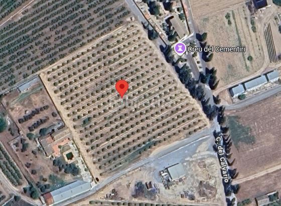Foto 585d5140-b5b8-44d7-bca7-1e4b02665216. Terreno residenziale in calvari in Benissanet