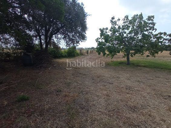 Foto 078f15f7-9db3-4449-940f-3cb3380643c6. Terreny residencial a Constantí