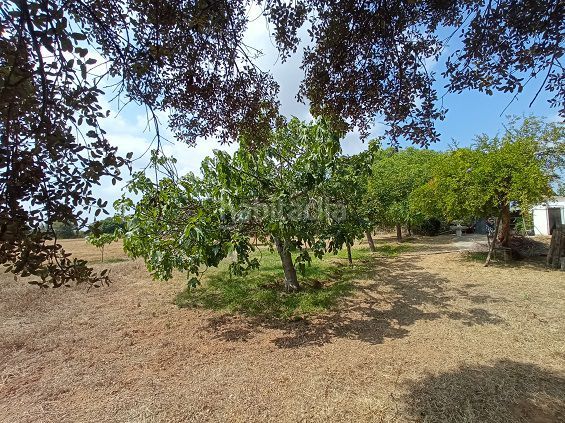 Foto f6730219-01ad-41d3-bba9-cb87681028fe. Terreny residencial a Constantí