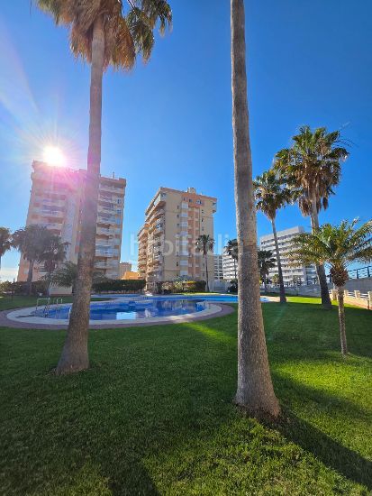 Foto 4daa4d4a-6d17-4bf9-89f2-d730b404c1fb. Apartamento en calle g 5b apartamento en el km. 12 en Manga del Mar Menor (La)