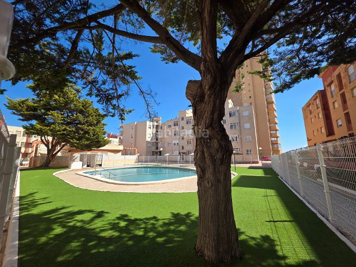 Foto d2ff4e75-256f-47c6-a32b-e651157aab1e. Apartamento en apartamentos montemares 3 apartamento en zona céntrica en Manga del Mar Menor (La)