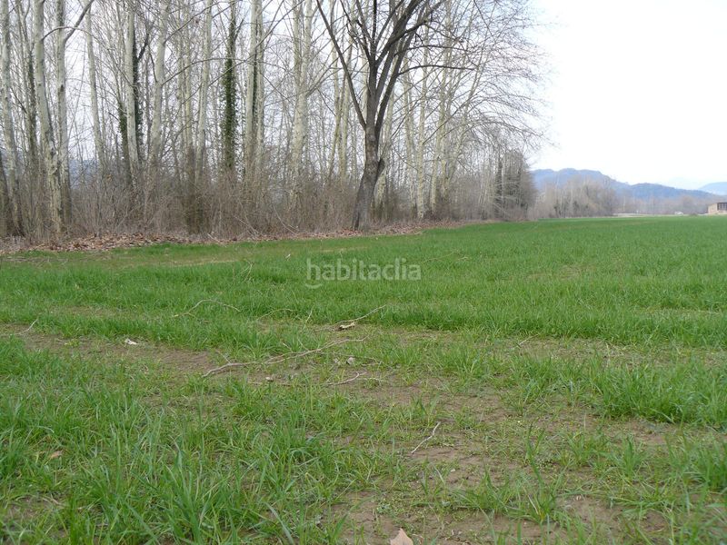Foto 1b463d41-e944-4e09-a3b0-02a773bbf0a4. Country house in Preses (Les)