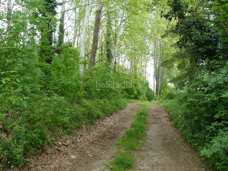Foto 5b3a21bd-282d-4df0-902a-8ac0e677a84d. Country house in Preses (Les)
