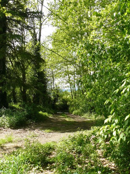 Foto a5da0a9c-9583-43e9-a311-552048921748. Country house in Preses (Les)
