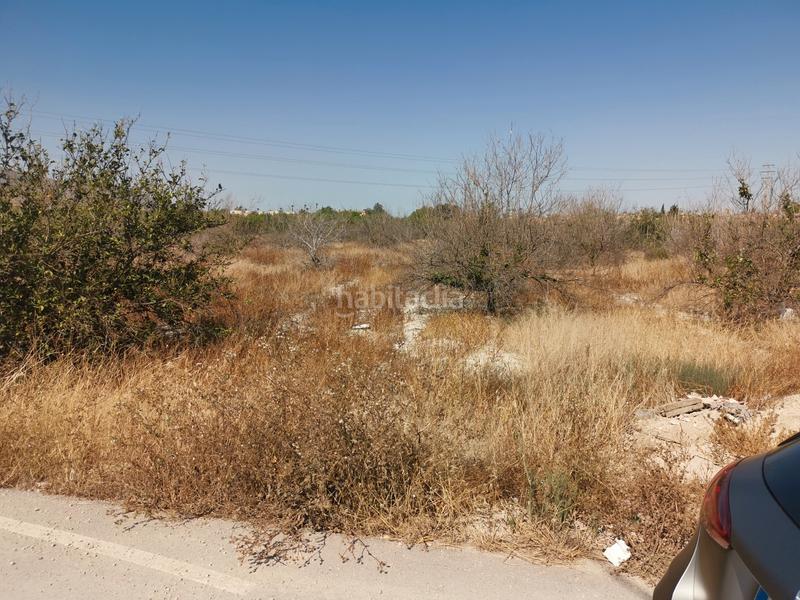 Foto 3b4bda52-690e-479e-b1e8-d76a2a5250c1. Finca rústica en Benferri