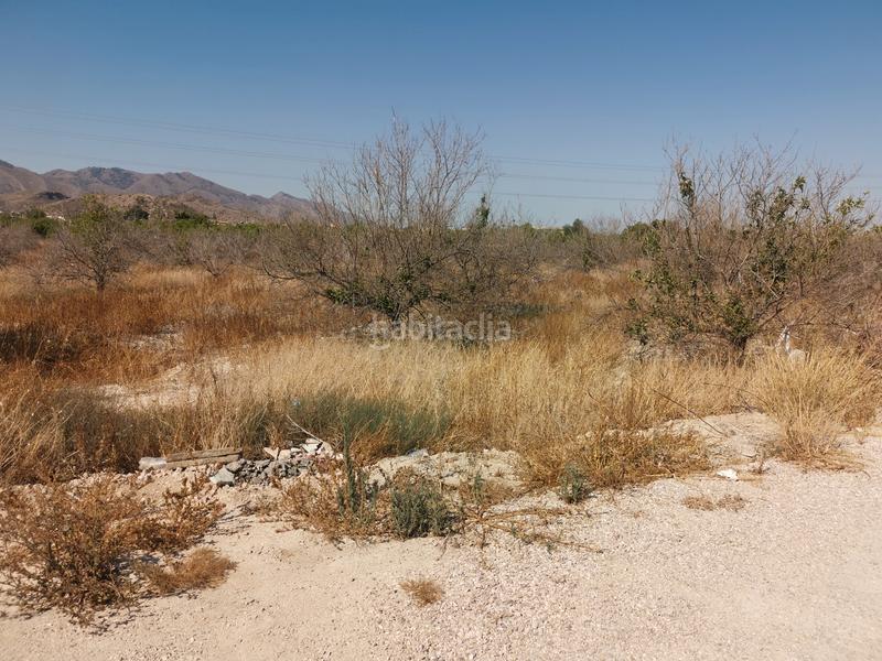 Foto 6ac70182-7021-465e-9880-1a0b97c2ea8f. Finca rústica en Benferri