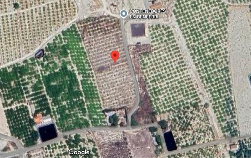 Foto bbd863e0-d3e3-4aa2-954f-58b5b089c284. Finca rústica en Benferri