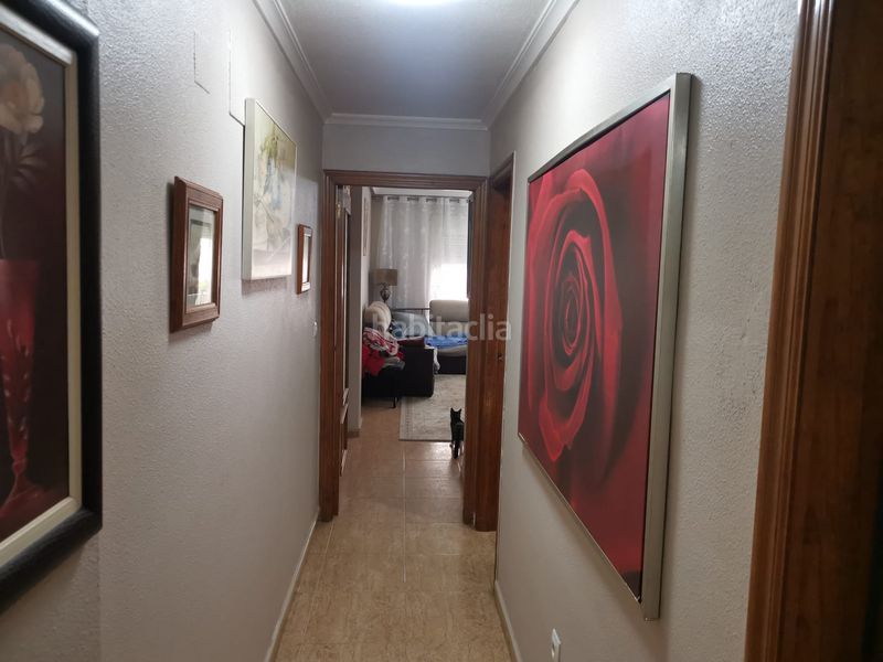 Foto e2a237d4-b2f3-45d6-9671-749848c602b9. Piso en calle velazquez 41 piso en Bigastro
