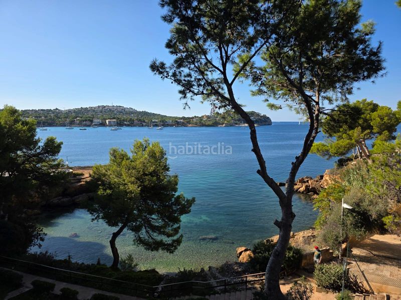 Foto caee4662-f989-4c13-aa06-3b881c4ba49e. Apartament amb piscina a Costa de la Calma Calvià