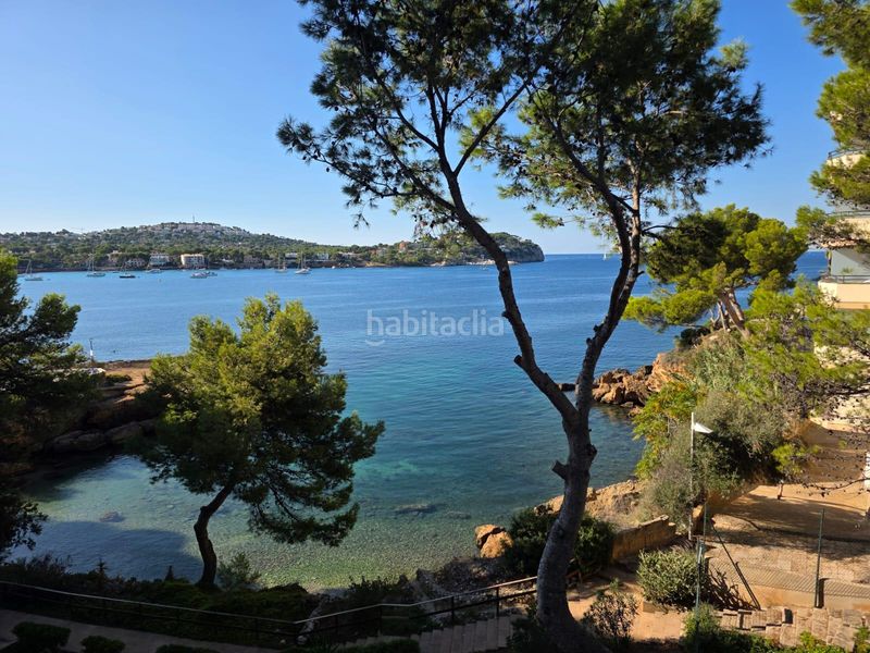 Foto e47316cc-dac1-4af3-9d41-980ddeb7b2db. Apartament amb piscina a Costa de la Calma Calvià