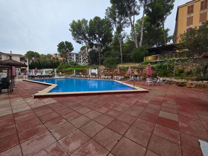 Foto 875b3c2e-25da-4f0e-af73-fb5997dec45c. Estudi amb piscina a Santa Ponça Calvià