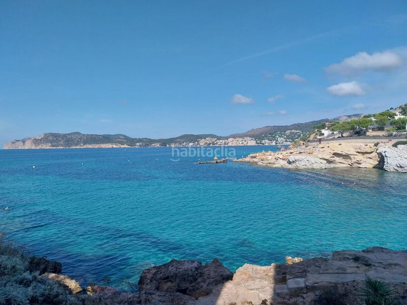 Foto d5e7fe28-7bfe-4f9b-b8a9-4be76aea8b7e. Apartment with pool in Costa de la Calma Calvià
