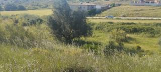 Terreny residencial a Urbanizacion altos de mentrida 3f 26p. Parcela urbana en mentrida