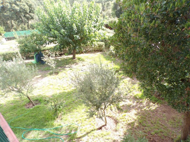 Foto d5dcd96c-8b11-4e5f-94d0-8e05c0a67be5. Maison dans amer 01 dans Mas Altaba - El Molí Maçanet de la Selva