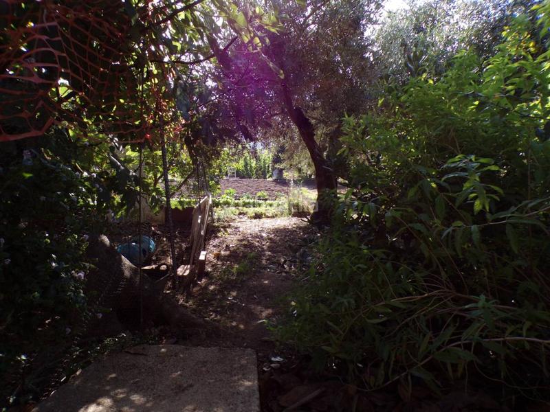 Foto e3132787-834a-476c-8786-d60691e94cbf. Casa a argimon 1 a Riudarenes