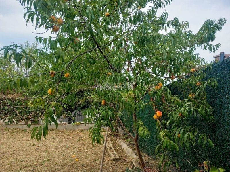 Foto cbe0f956-1e1d-4a20-9a5f-fac8b4146502. Terreno residencial se vende parcela totalmente llana en Fogars de la Selva