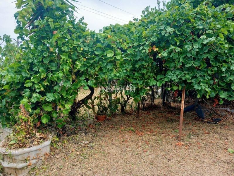 Foto fe89a6db-a012-495a-bd31-cb35b8aff57a. Terreno residencial se vende parcela totalmente llana en Fogars de la Selva
