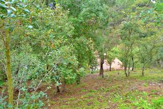 Terreno residenziale  Carrer orades