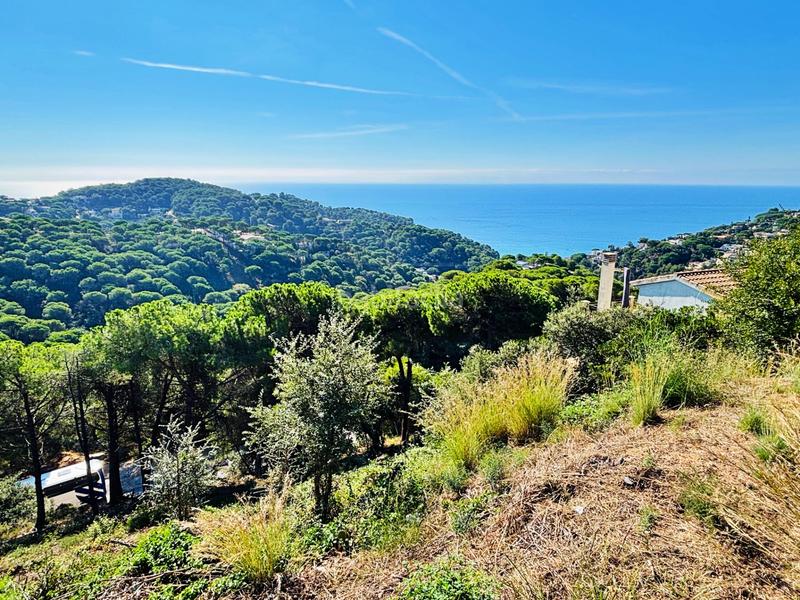 Foto 6bd2229f-9828-40ad-99f4-d1e0013b33ba. Terreno residencial en Serra Brava Lloret de Mar