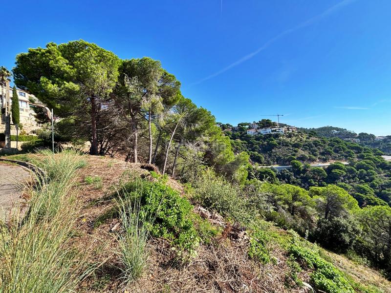 Foto caf05af9-6953-45e4-9d36-908252cffc31. Terreno residencial en Serra Brava Lloret de Mar