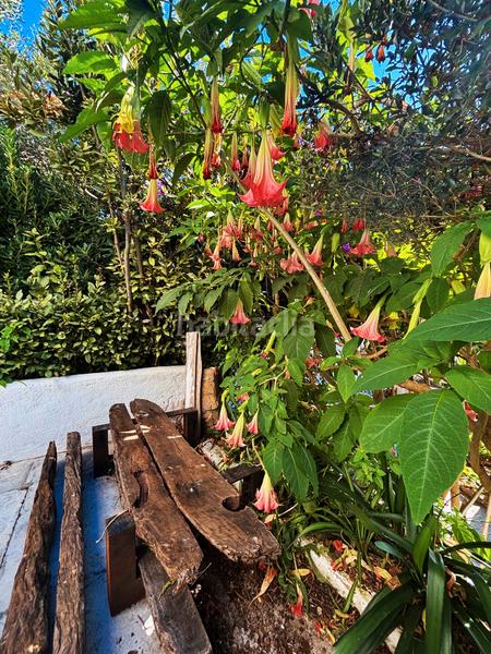 Foto becf98ca-7238-4994-abc7-d3db846737de. Maison avec cheminée chauffage piscine dans Serra Brava Lloret de Mar