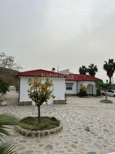 Foto 19ff5986-7464-4f01-b33c-049ed98e3249. Mas dans Benferri