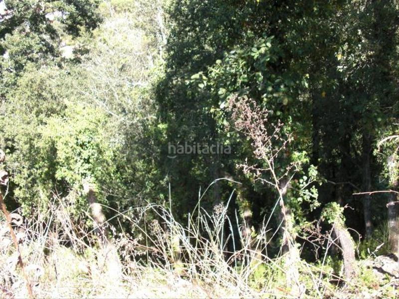 Foto 7a5d47db-2358-406d-9b65-6e0af9a3a5d1. Wohngrundstück in Aiguaviva Parc Vidreres