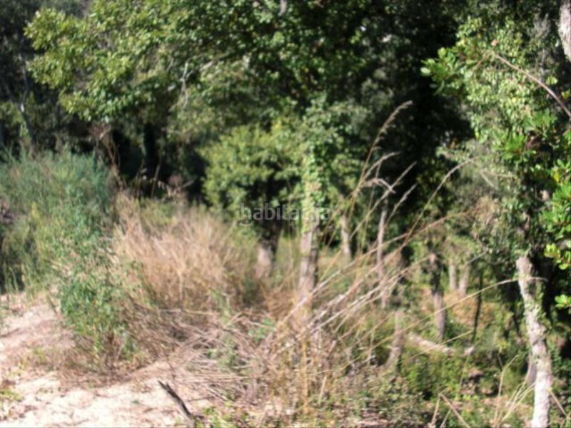 Foto f14398dd-859f-4962-97c3-01e4d49ff243. Wohngrundstück in Aiguaviva Parc Vidreres