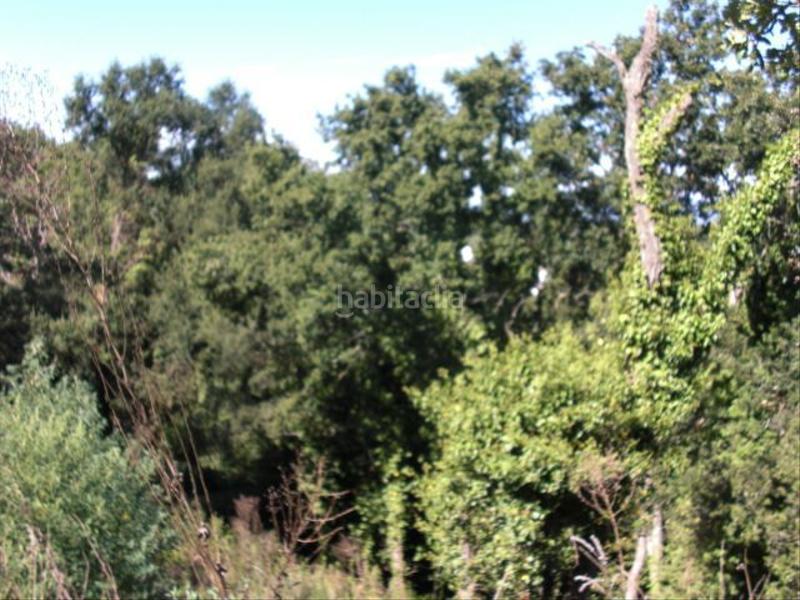 Foto fd9f8824-5636-40a3-aec8-8ce17e66b5d8. Wohngrundstück in Aiguaviva Parc Vidreres