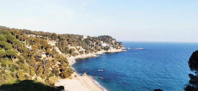 Foto c7435a0d-0a06-4059-8adc-35a994d2fffe. Terreny residencial a Santa Maria de Llorell Tossa de Mar