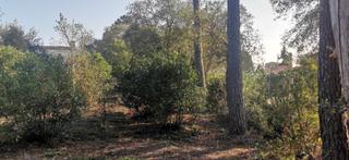 Residential Plot in Aiguaviva Parc