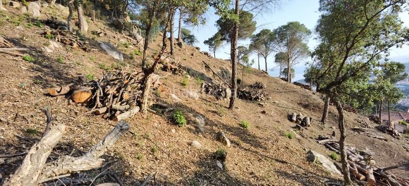 Foto e31cb24e-0257-4fff-b62c-c15cb22c1662. Terreno residenziale in Roca Grossa Lloret de Mar