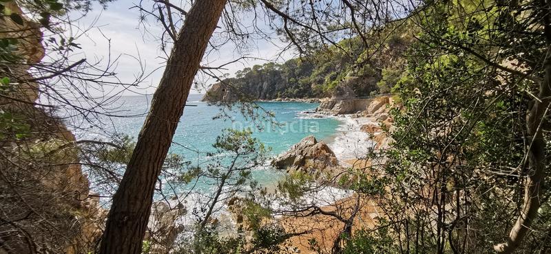Foto 1cf0acfc-48e2-459e-a510-cfc84d761195. Terreny residencial a Santa Maria de Llorell Tossa de Mar