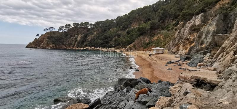 Foto d7cc1e34-c06c-4565-a4d9-70221a26ac87. Terreny residencial a Santa Maria de Llorell Tossa de Mar