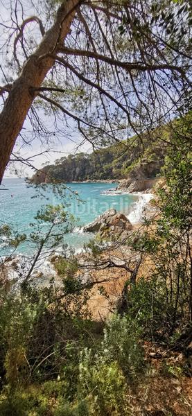 Foto fa5be8c1-189a-4b26-a051-0b280f75c11e. Terreny residencial a Santa Maria de Llorell Tossa de Mar
