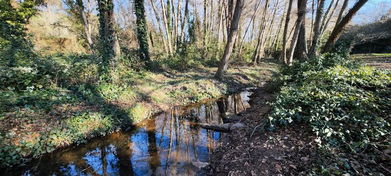 Foto d758e943-9b4b-451d-a881-ef7d66ab4784. Terreno residenziale in Aiguaviva Parc Vidreres