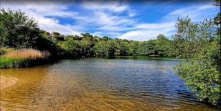 Terreny residencial  Llac. Grandes terrenos en venta para desarrollar!!!  en lloret de mar!