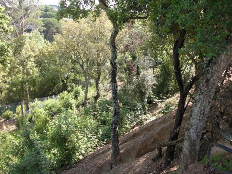 Foto 093b10e3-4069-4a52-96d6-bce1665024f5. Terreno residencial parcela con anteproyecto para 3 casas!!! en Vidreres