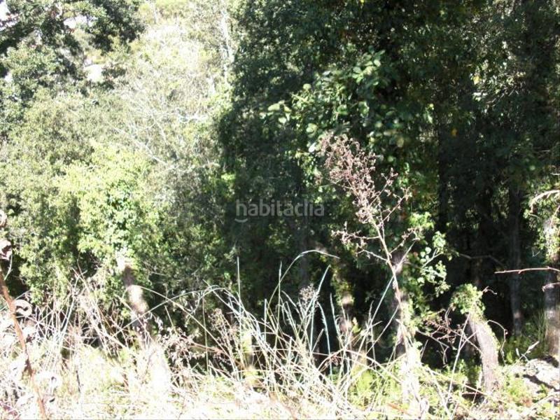 Foto 33a994d4-66eb-4276-8d02-96e29f1238ea. Terreno residencial parcela con anteproyecto para 3 casas!!! en Vidreres