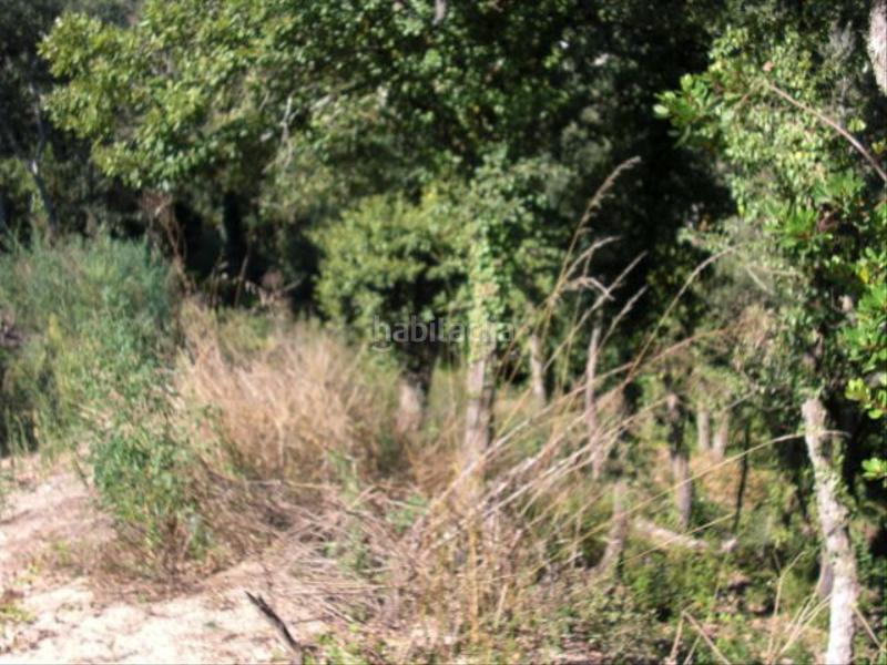 Foto 49f5701d-1cef-408a-a620-99a76e44a878. Terreno residencial parcela con anteproyecto para 3 casas!!! en Vidreres