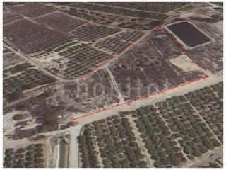 Terreny residencial a Montesinos (Los). Venta de dos suelos rústicos con una superficie total de 17.695m