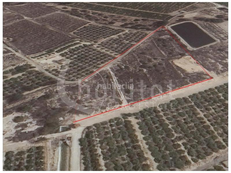 Foto 688972c8-8d64-454c-aa64-d97eb01e478e. Fondo rustico in Montesinos (Los)