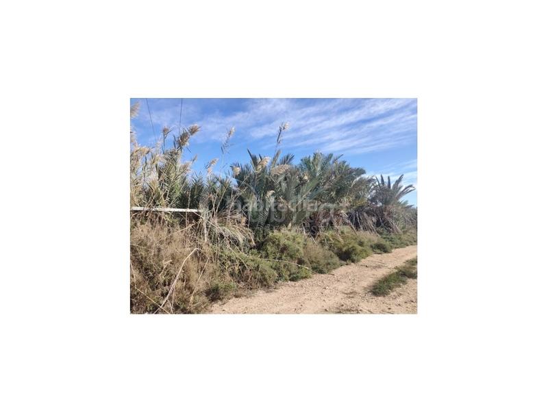 Foto b4626824-14eb-4ea0-956b-c9f479da221b. Residential plot in Montesinos (Los)