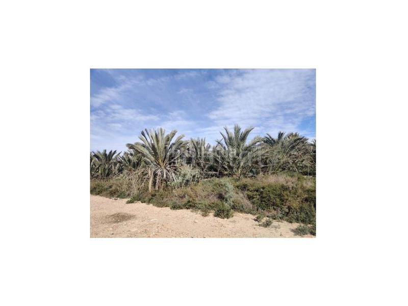 Foto f9e23623-1e10-483a-9340-610b836e9781. Residential plot in Montesinos (Los)