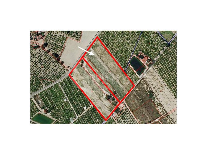 Foto 6057510c-d31f-4f8a-90d9-20ae16628e34. Fondo rustico in poligono 8 paraje 77 perdigon 135 in Rojales