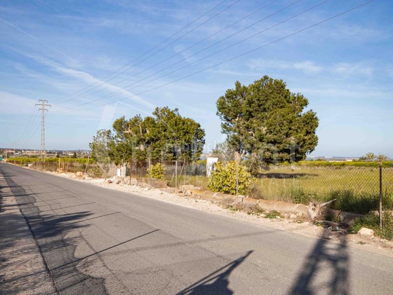 Foto fa36da7e-d9ff-404e-ab4d-63e73ea55ea4. Fondo rustico in poligono 8 paraje 77 perdigon 135 in Rojales