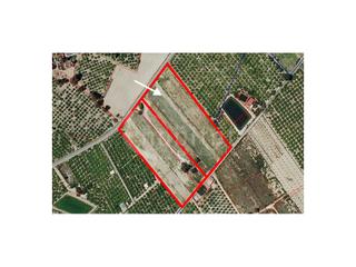 Finca rústica a Poligono 8 paraje 77 perdigon 135. A la venta suelo rústico con 10.000m2 en el término municipal de