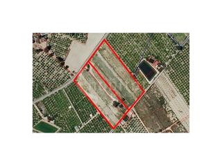 Terreny residencial a Poligono 8 paraje 77 perdigon 135. A la venta suelo rústico con 10.000m2 en el término municipal de