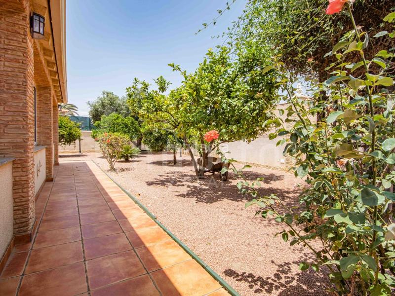 Foto c521f5fb-65d6-4d91-aa34-c220d62c28d5. Casa a calle boticcelli 2 a Zona Carrefour - Urbanizaciones Torrevieja