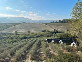 Propriété à Gelida. Finca agrícola en venta